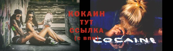 Альфа ПВП Гусь-Хрустальный