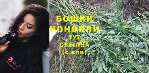 Альфа ПВП Гусь-Хрустальный