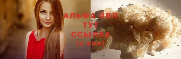 Альфа ПВП Гусиноозёрск