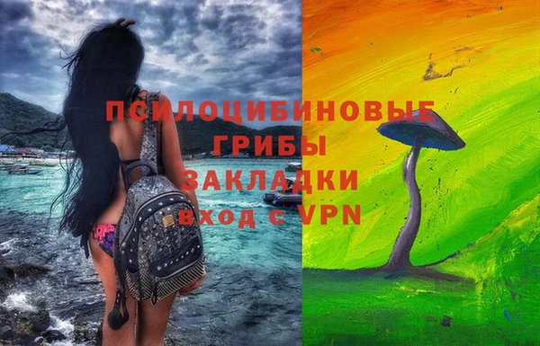Альфа ПВП Гусь-Хрустальный